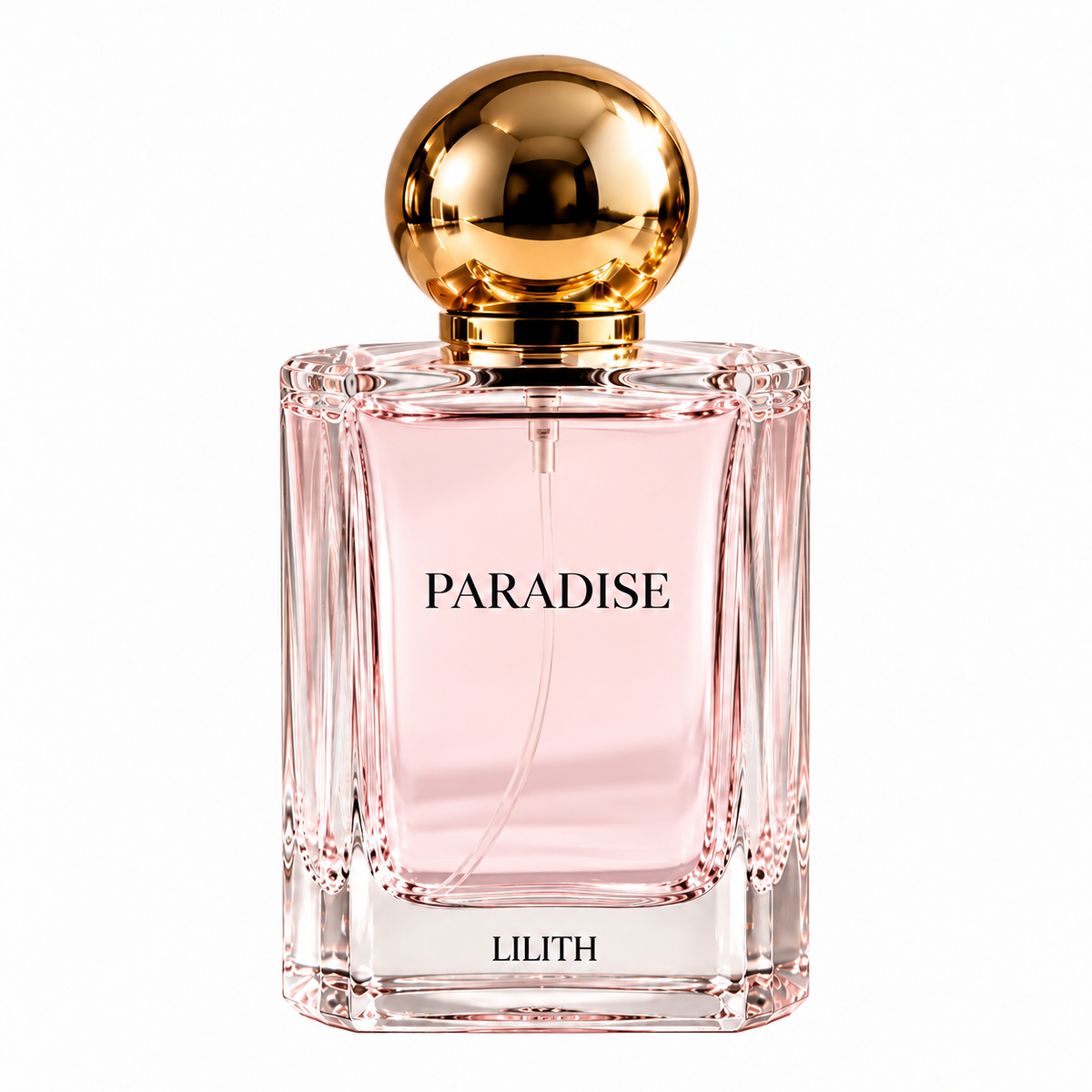 PARADISE